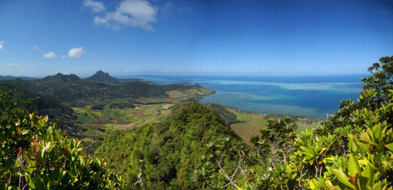 Bambous Aerial View